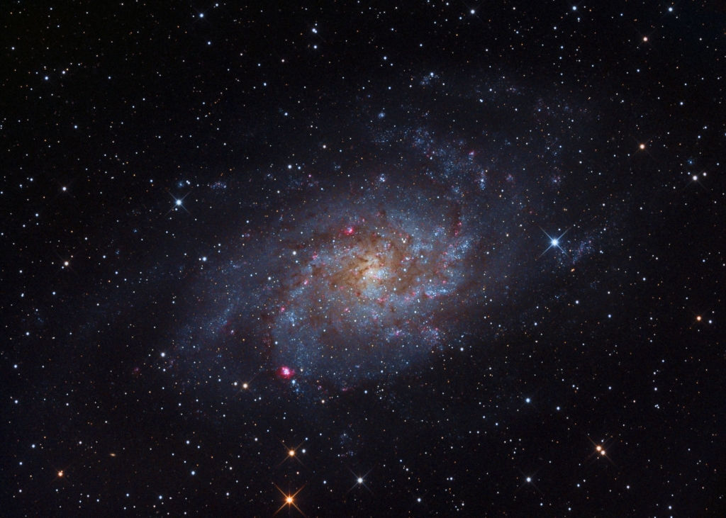 M33