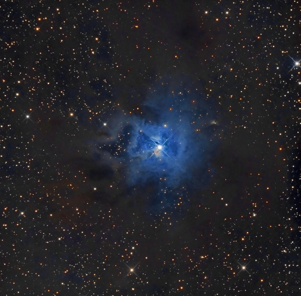 NGC7023 Iris Nebula