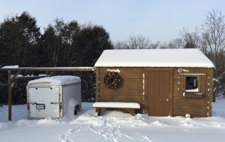 Doghouse in Winter