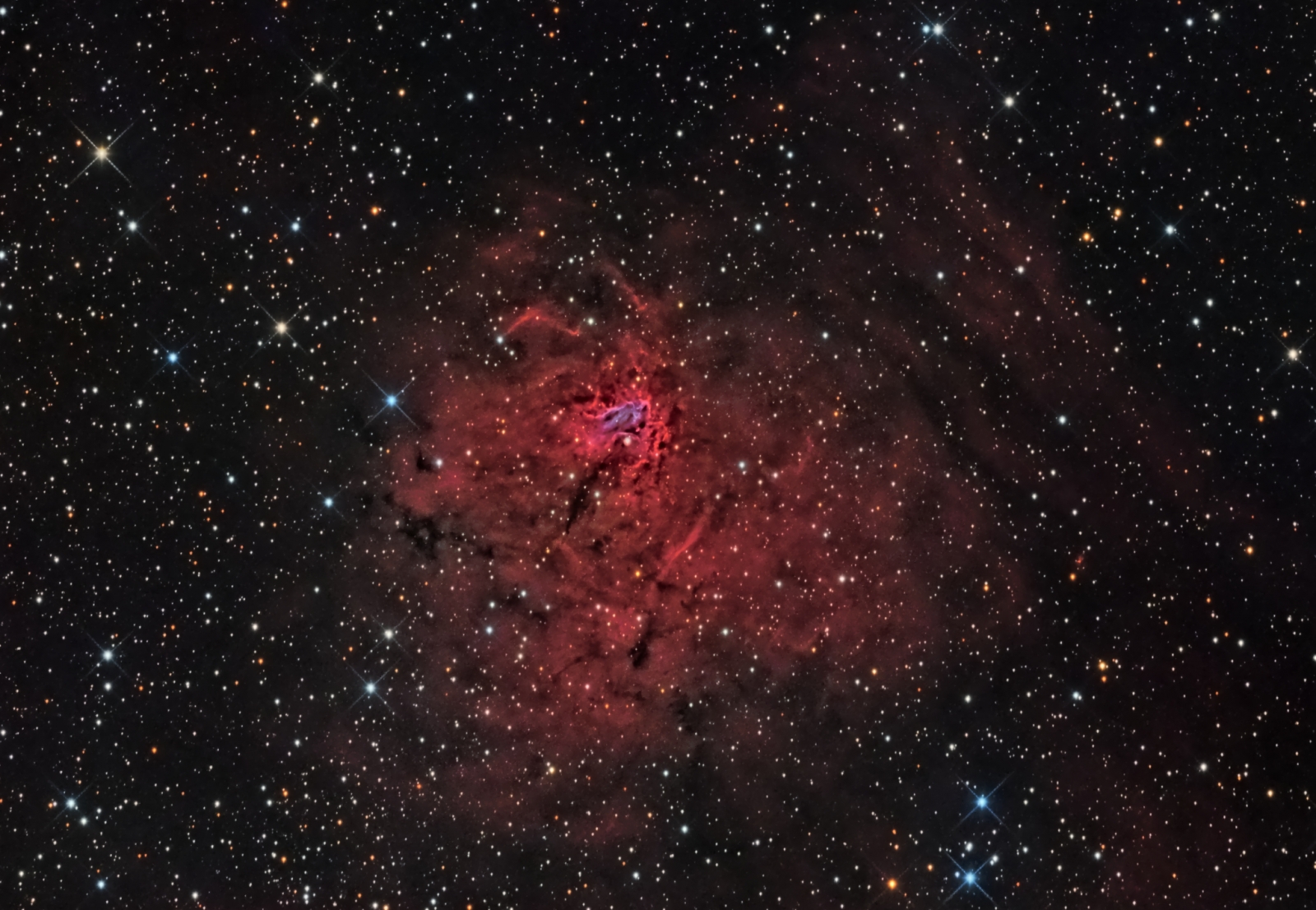 NGC1491