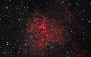 NGC1491