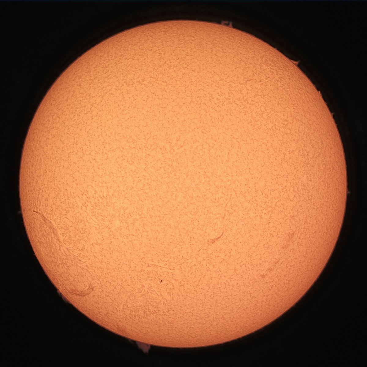 Sun March 20 2015