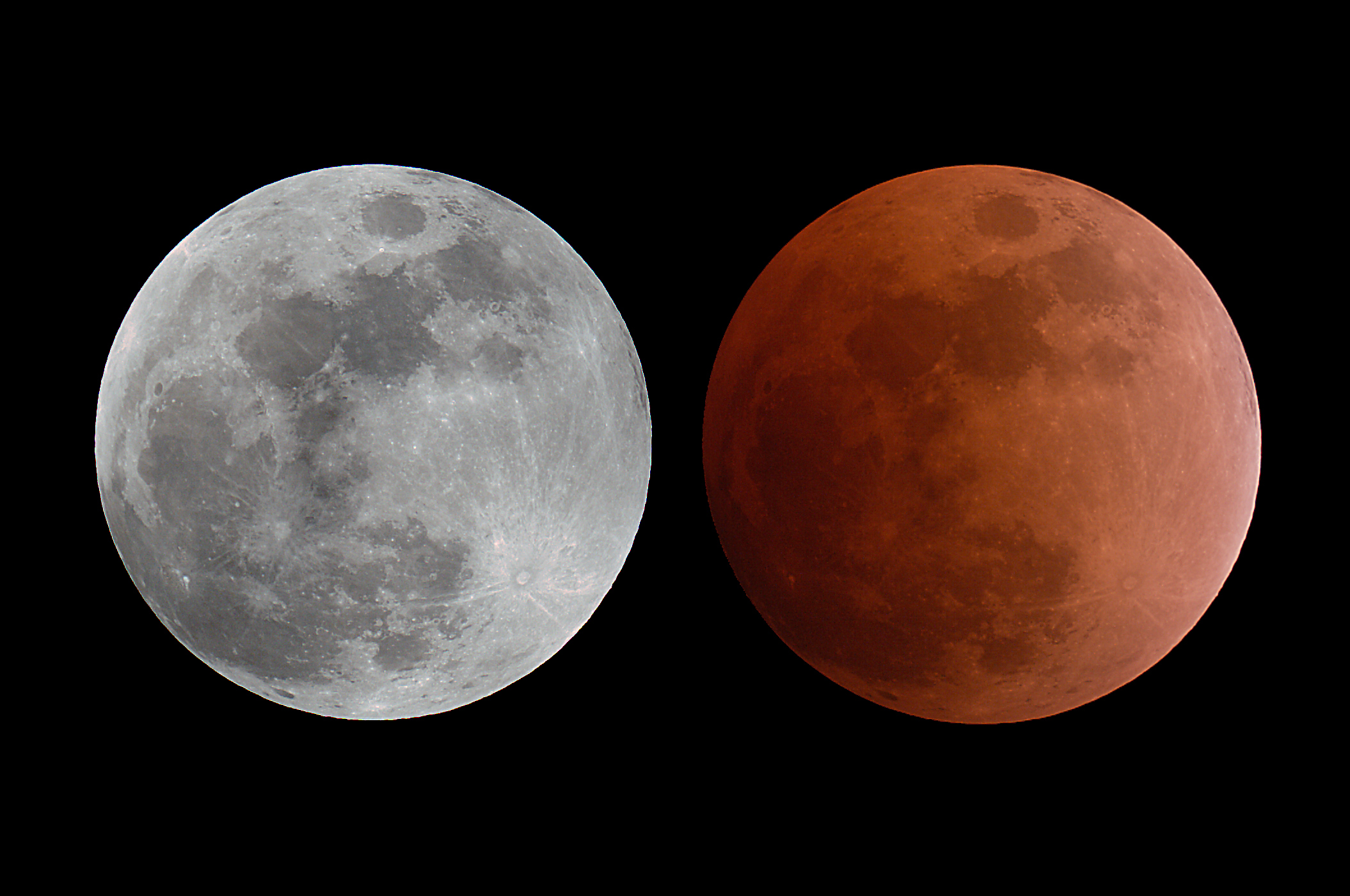 Lunar Eclipse, February 20, 2008 Astrodoc Astrophotography by Ron