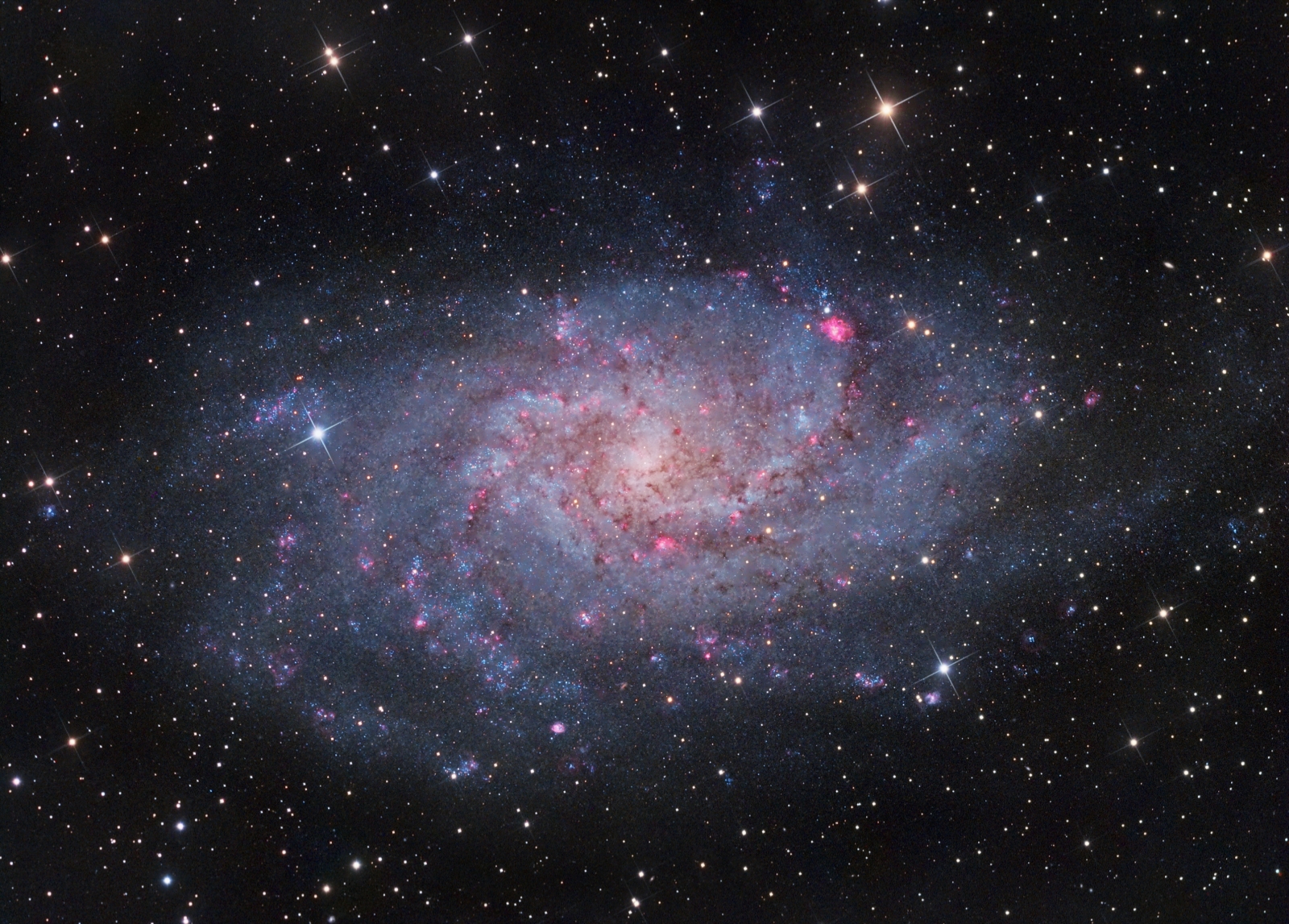 M33