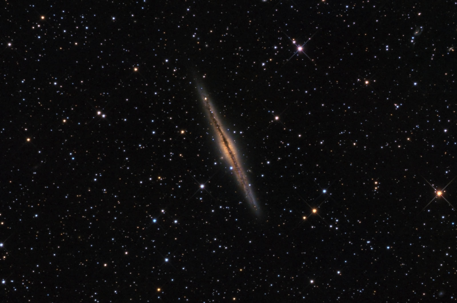 NGC891