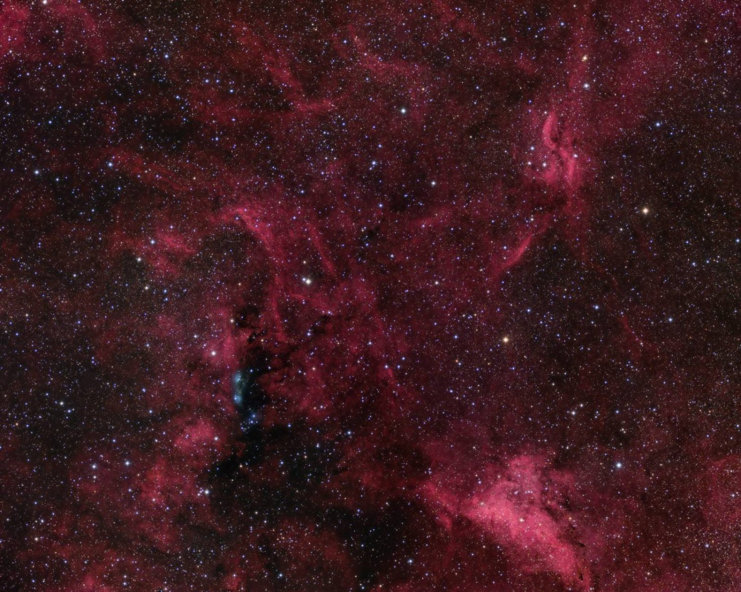 Propeller Nebula Region Astrodoc Astrophotography by Ron Brecher