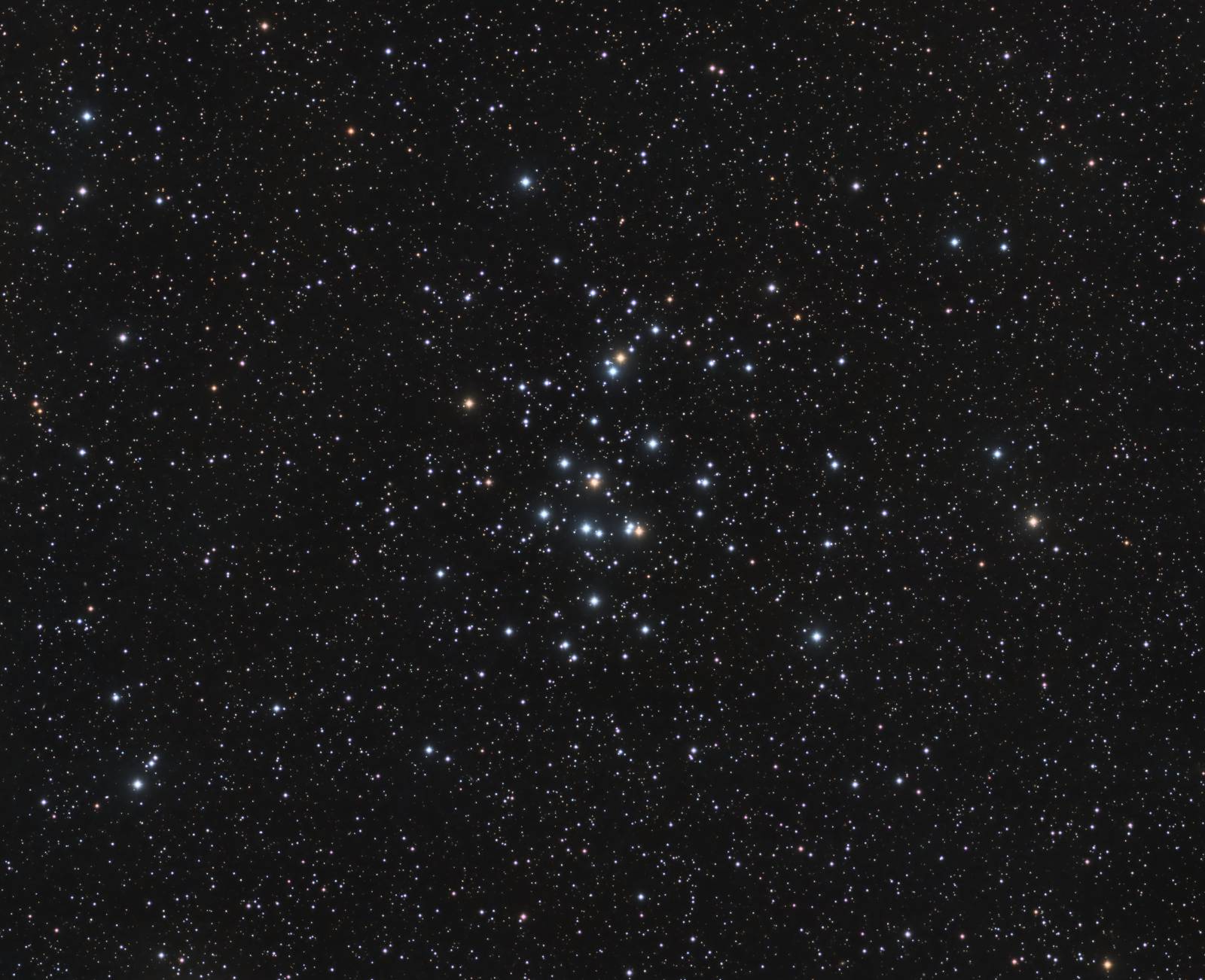 M44, The Beehive Cluster