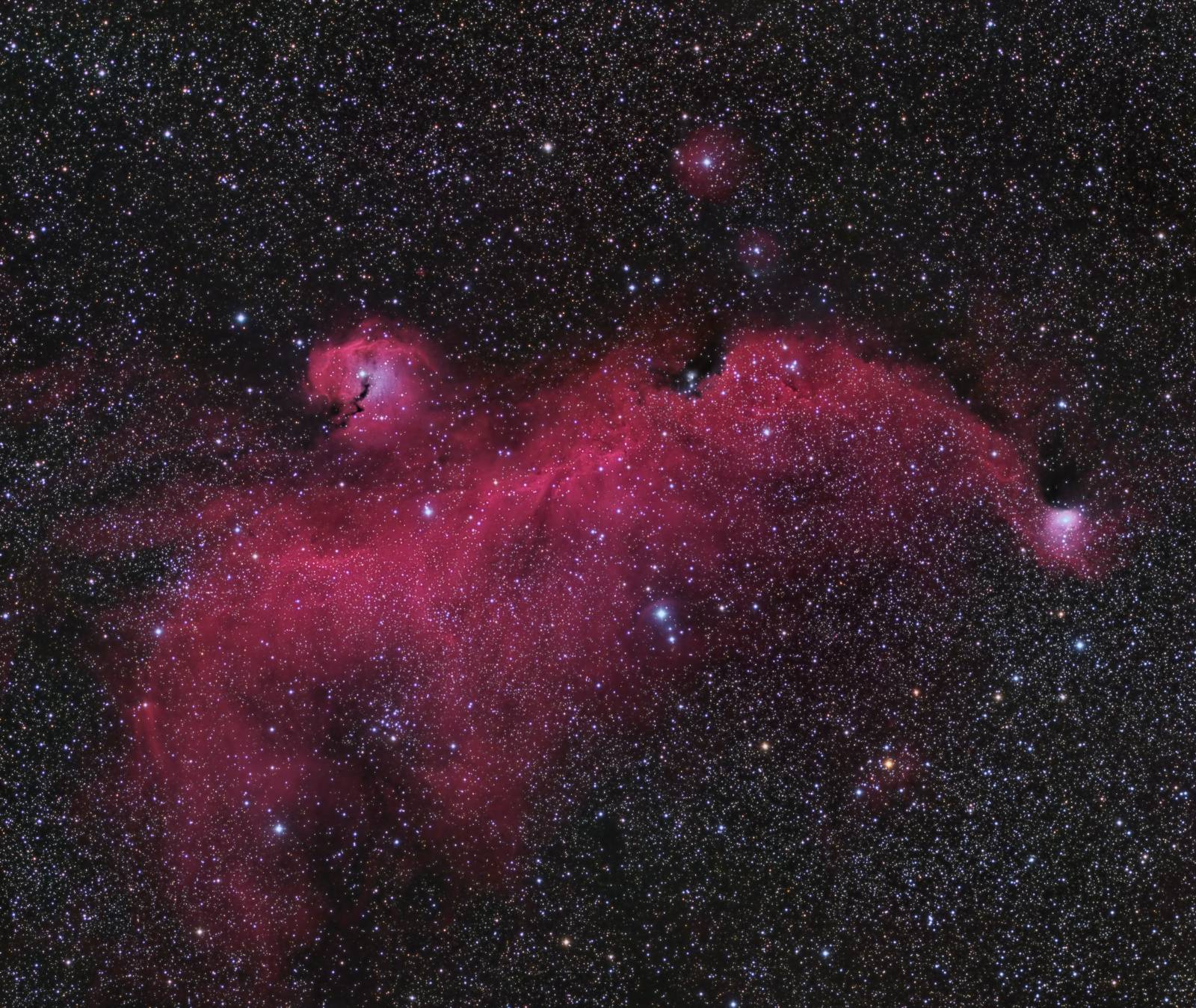 Seagull Nebula