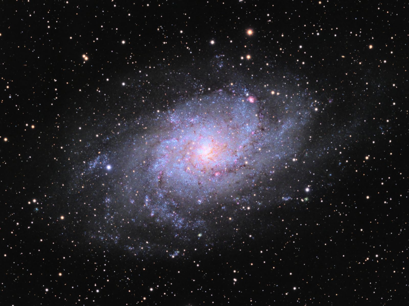 M33, The Triangulum Galaxy
