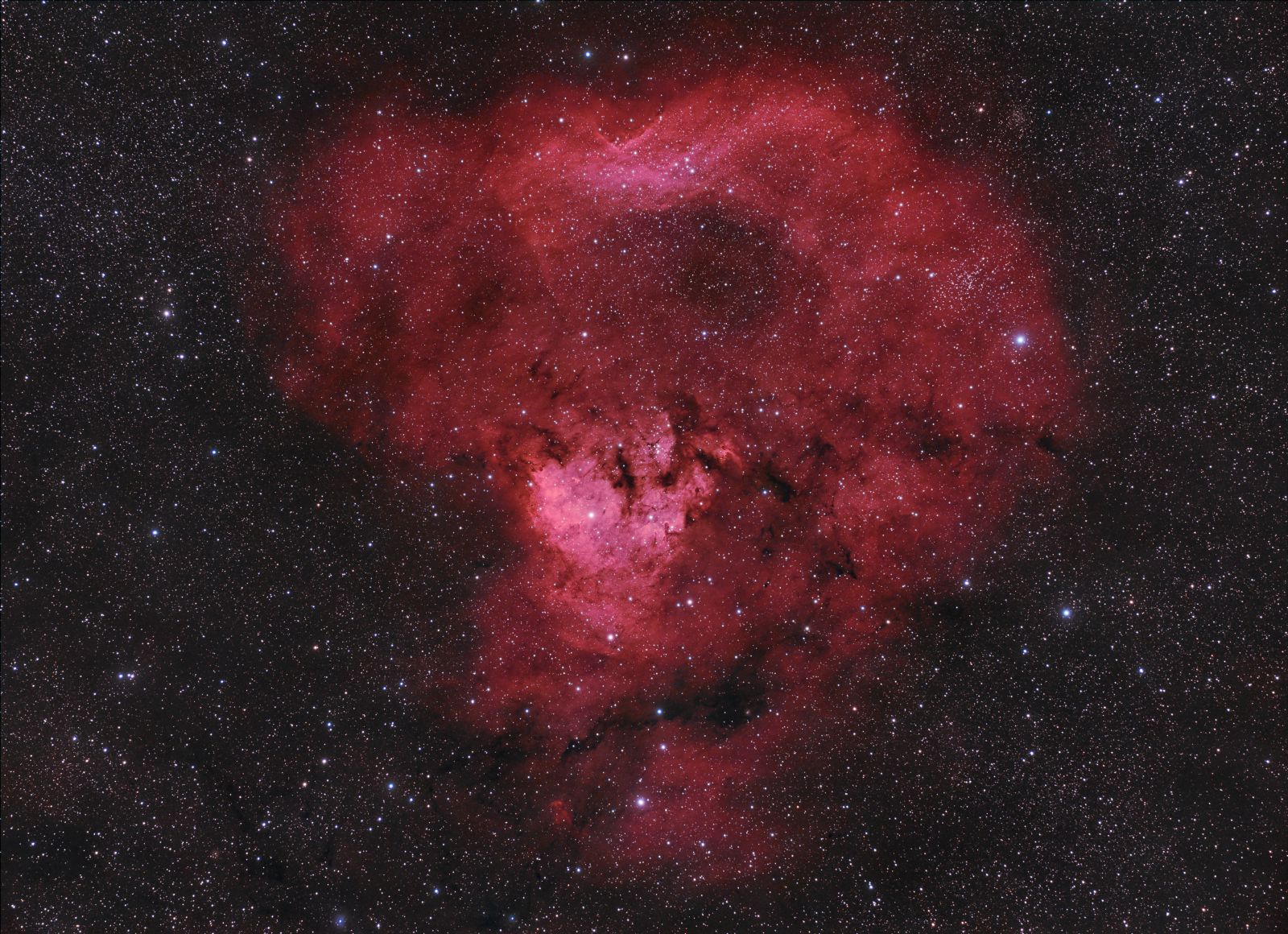 NGC 7822 Region