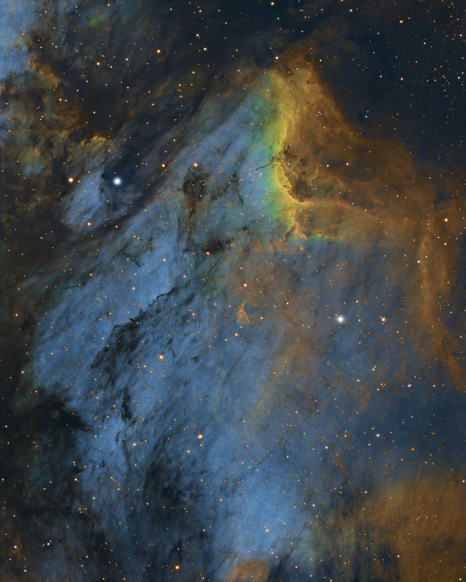 Pelican Nebula