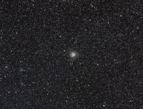 NGC 6712 and IC 1295