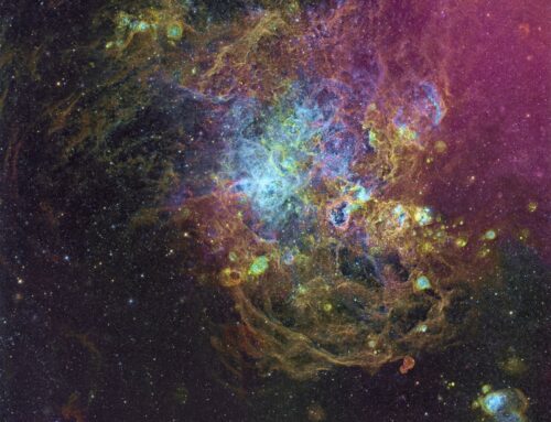 Tarantula Nebula Narrowand