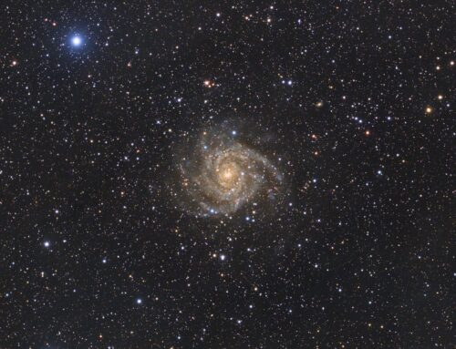 IC 342, the Hidden Galaxy