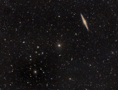 NGC 891 and Friends