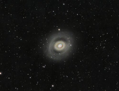 Messier 94 (M94)