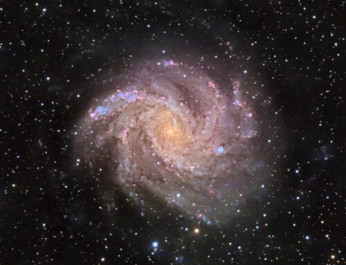 NGC 6946, The Fireworks Galaxy