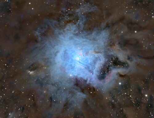 NGC 7023 – The Iris Nebula