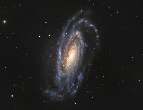 NGC 5033