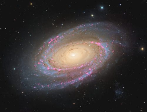 M81